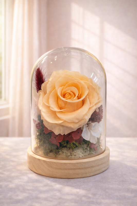 Eternal Rose - Peach