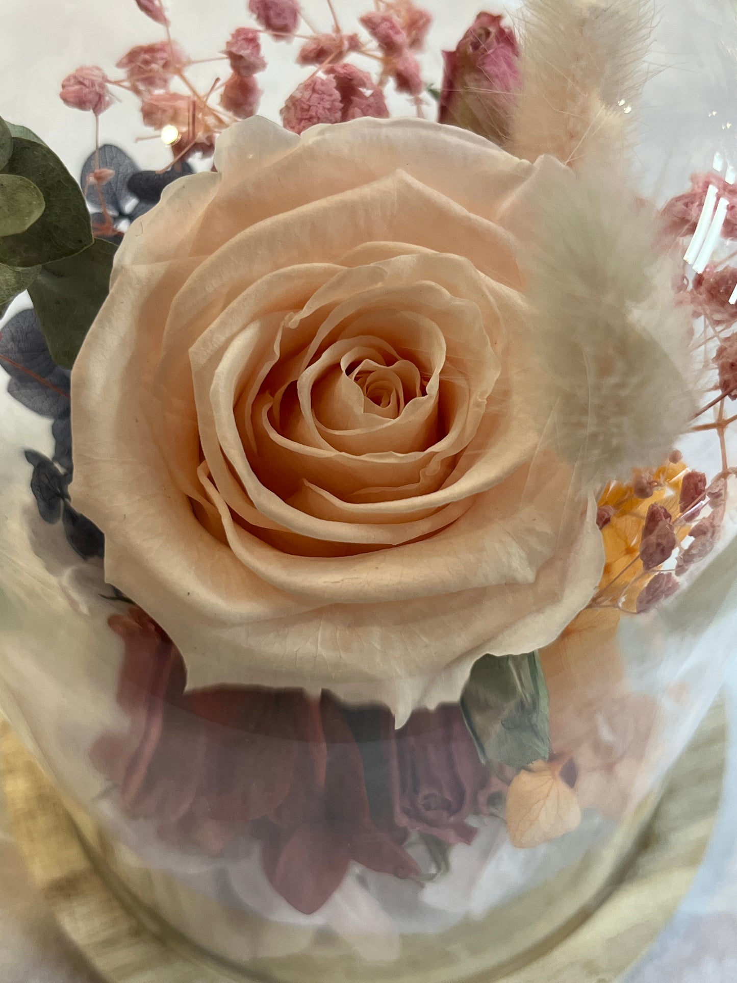 Eternal Rose - Light pink