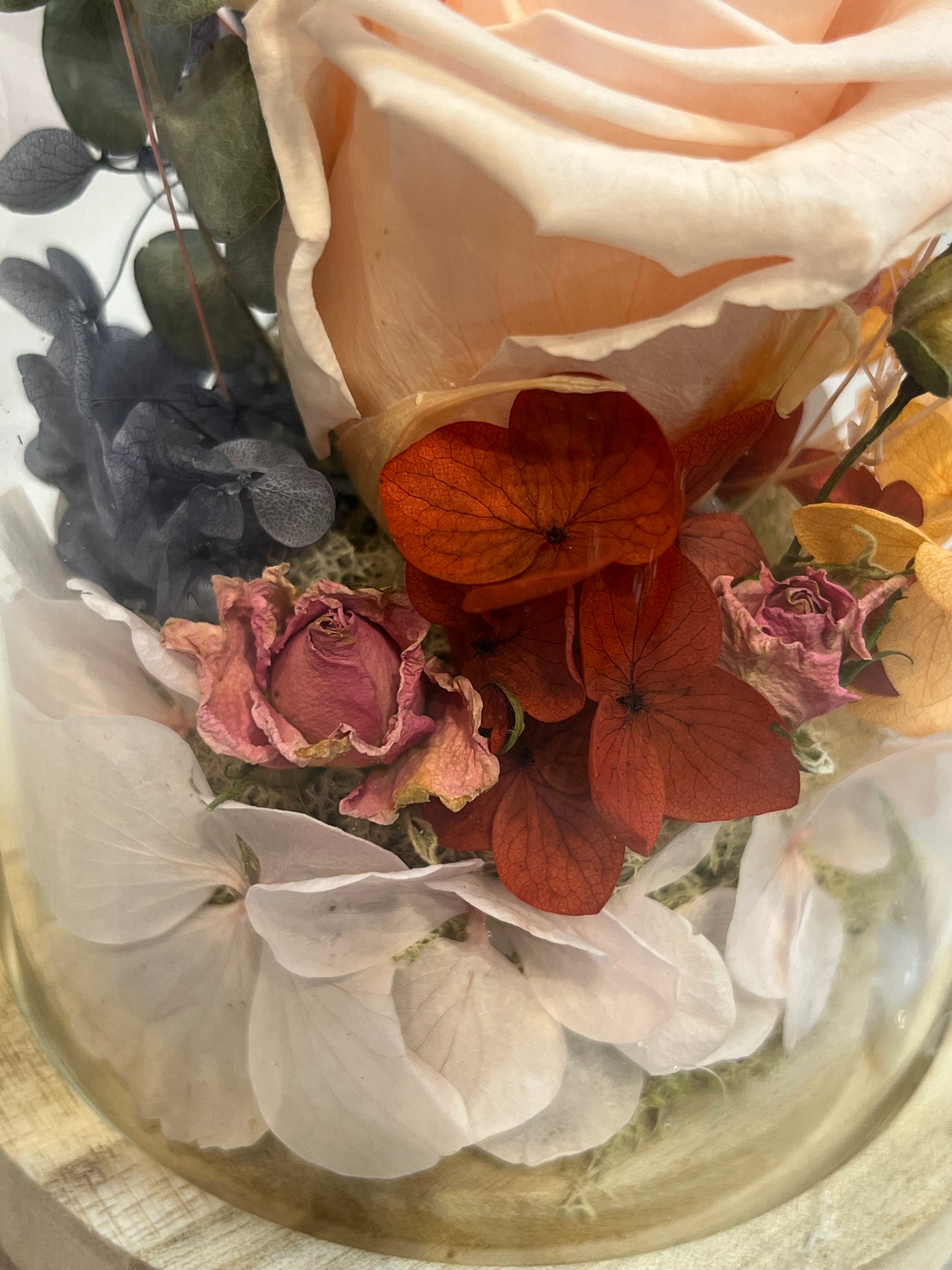 Eternal Rose - Light pink