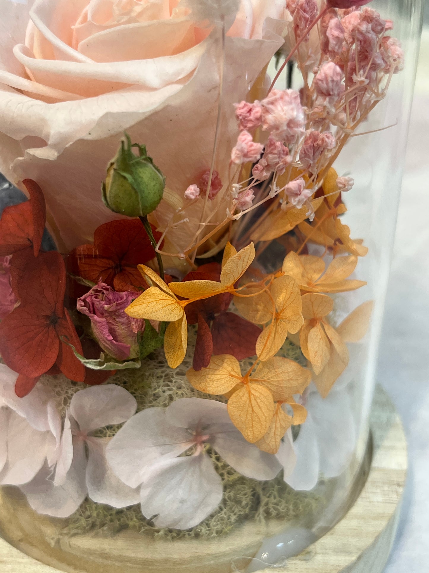 Eternal Rose - Light pink