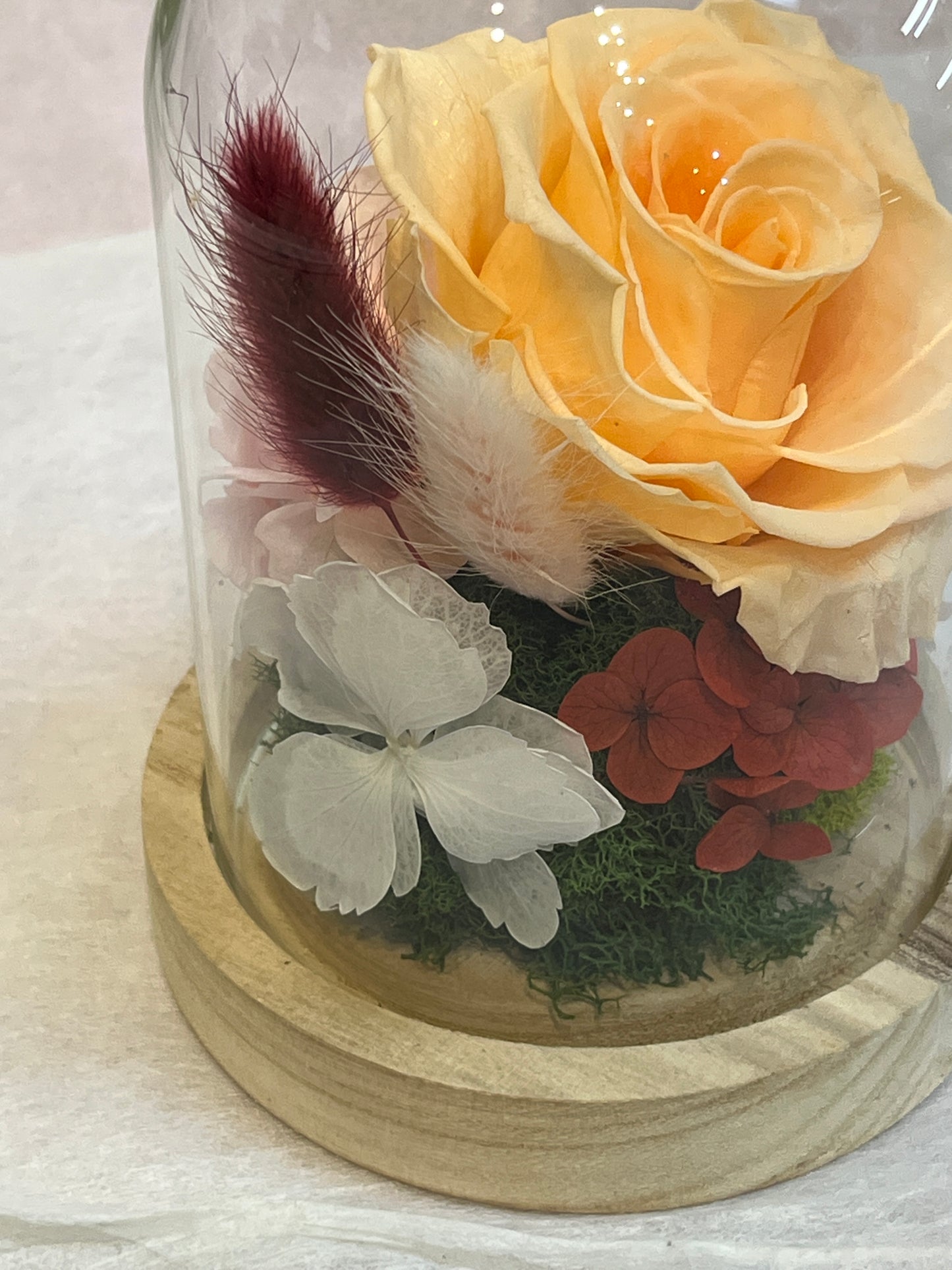 Eternal Rose - Peach