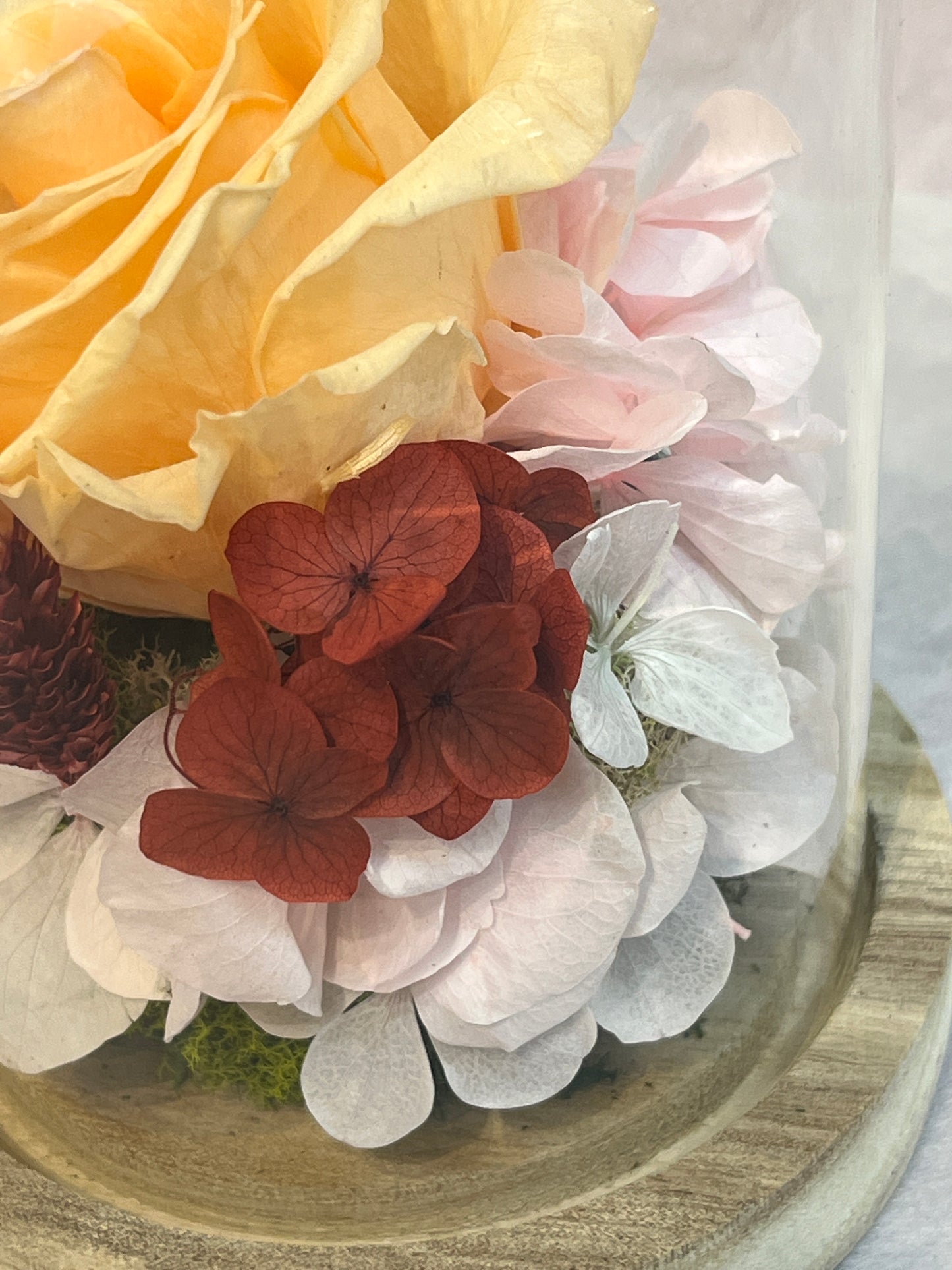 Eternal Rose - Peach