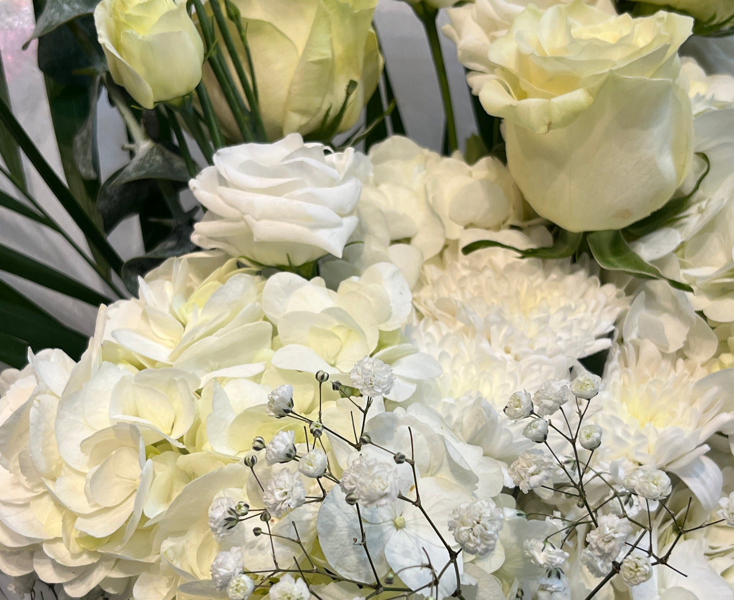 Maison Ivory