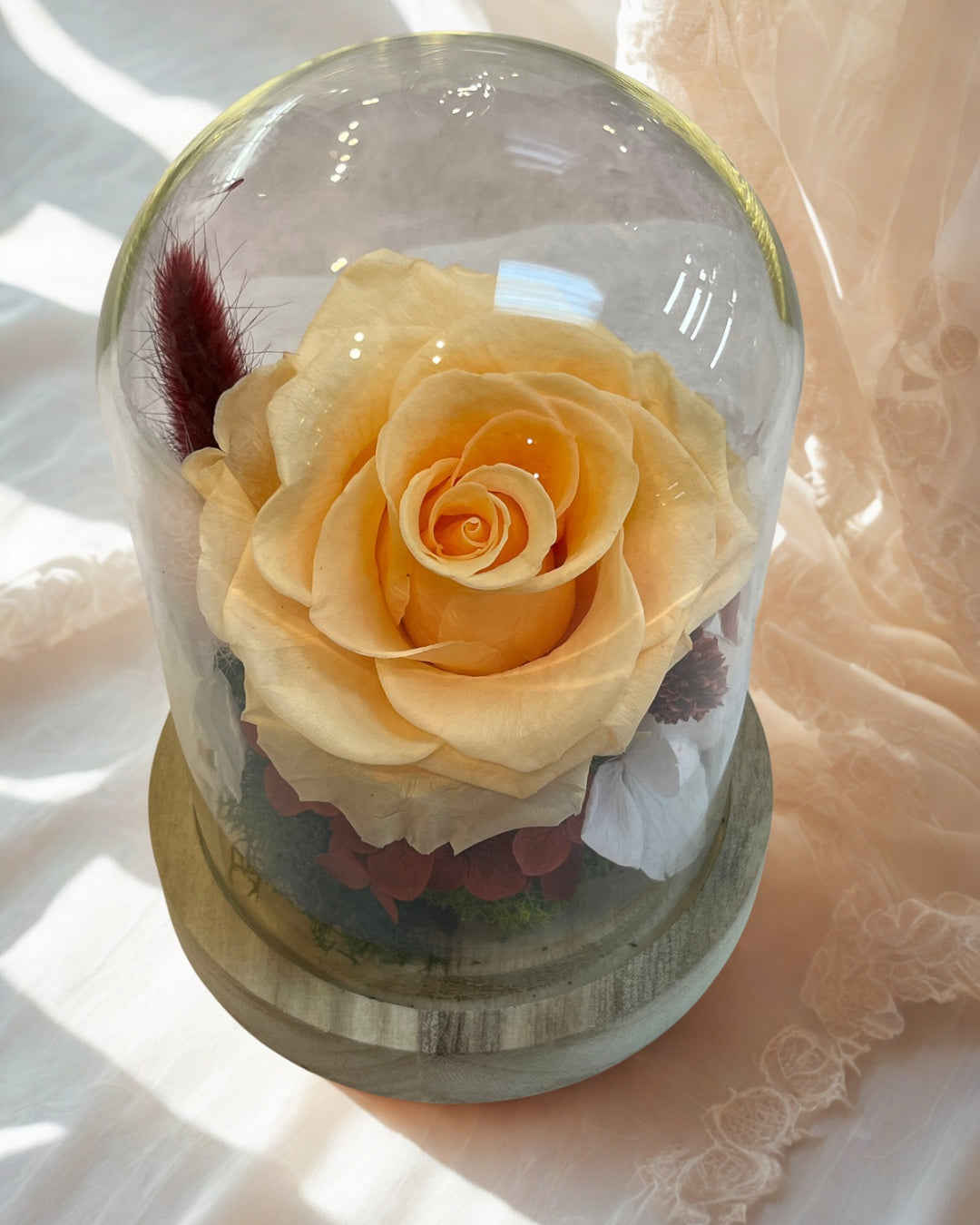 Eternal Rose - Peach